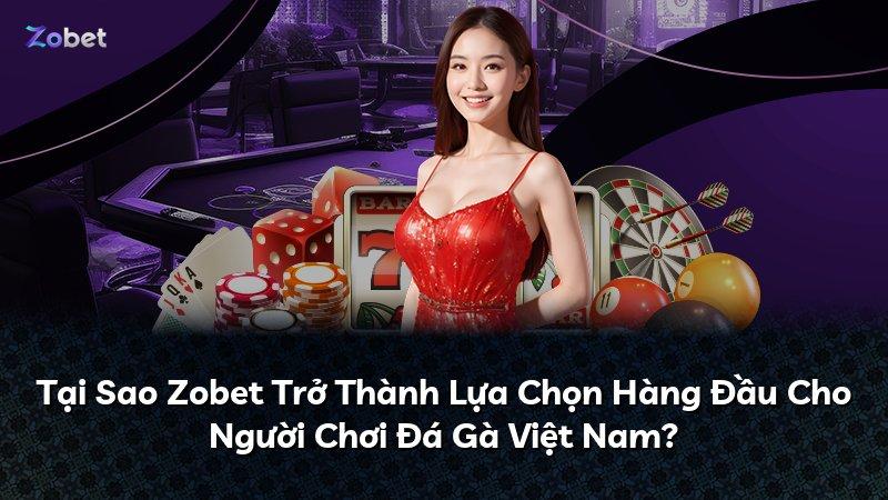 Tại Sao Zobet Trở Thành Lựa Chọn Hàng Đầu Cho Người Chơi Đá Gà Việt Nam?